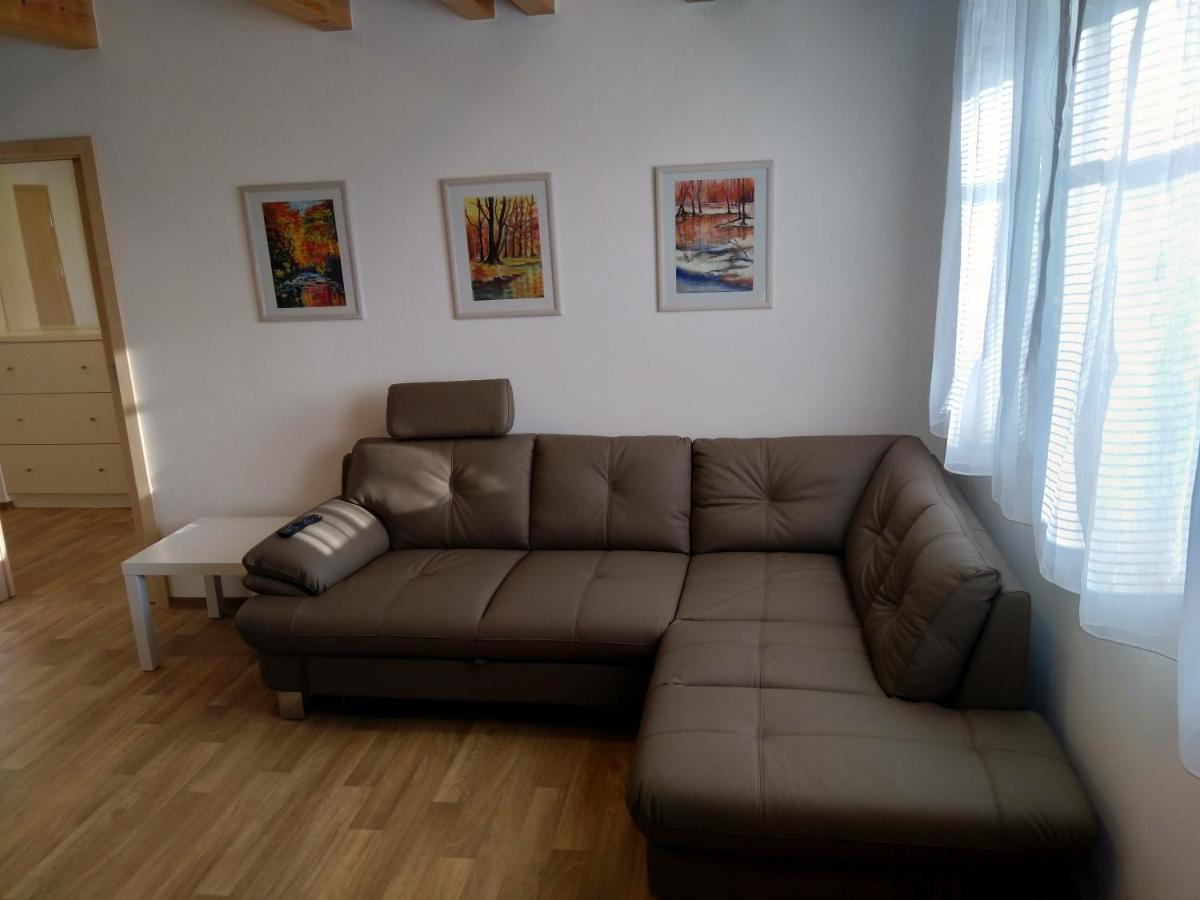 Na Vysluni Apartment Horni Maxov