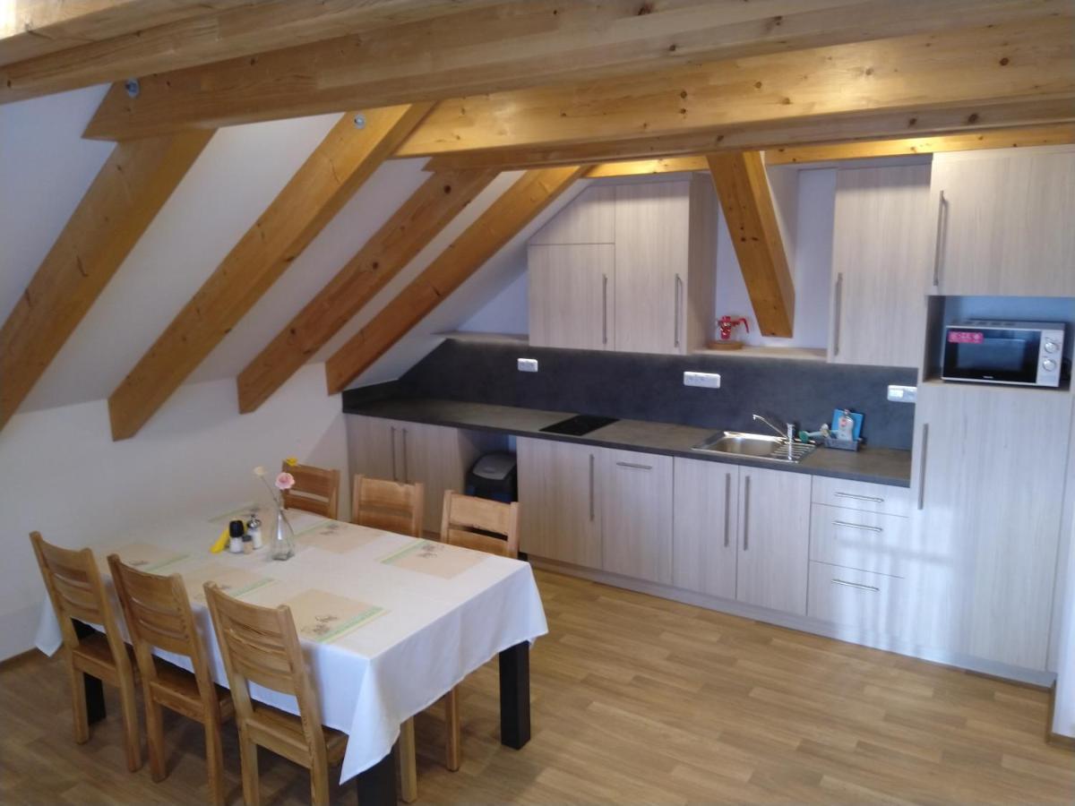 Apartment Na Vysluni Horni Maxov