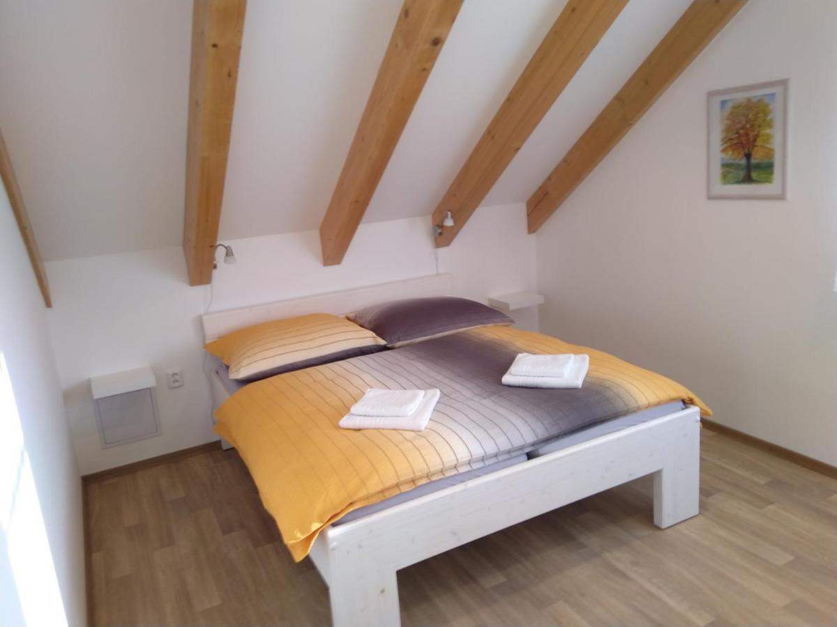 Apartment Na Vysluni Horni Maxov